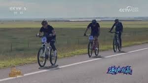 棒球与城市心理学主场获胜如何有效提升当地居民的社会归属感